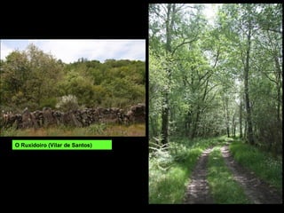 O Ruxidoiro (Vilar de Santos)
 