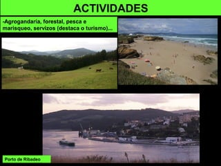 Porto de Ribadeo
ACTIVIDADES
-Agrogandaría, forestal, pesca e
marisqueo, servizos (destaca o turismo)...
 