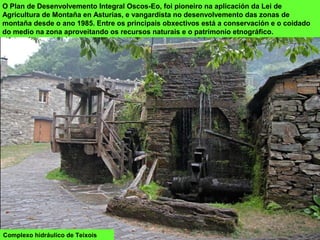 Complexo hidráulico de Teixois
O Plan de Desenvolvemento Integral Oscos-Eo, foi pioneiro na aplicación da Lei de
Agricultura de Montaña en Asturias, e vangardista no desenvolvemento das zonas de
montaña desde o ano 1985. Entre os principais obxectivos está a conservación e o coidado
do medio na zona aproveitando os recursos naturais e o patrimonio etnográfico.
 