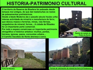 HISTORIA-PATRIMONIO CULTURAL
Forte de Ribadeo. Fornos de calcinación do mineral de ferro (A Pontenova)
Restos do castelo da
Pobra do Burón
O territorio da Reserva da Biosfera foi poboado desde
tempos moi antigos, do que dan testemuñas os restos
de poboamentos prehístoricos.
Desde a Idade Moderna ata o pasado século houbo unha
intensa actividade de mineiría e manufactura do ferro,
que deixou mazos e ferrerías, minas, vías férreas,
cargadoiros de mineral, fornos... A cidade de Ribadeo
foi un importante porto comercial.
Por todo o espazo consérvase un importante patrimonio
etnográfico e histórico artístico: muíños, pontes,
hórreos, igrexas, pazos, conxuntos urbáns...
O Camiño Xacobeo do Norte atravesa a zona.
 