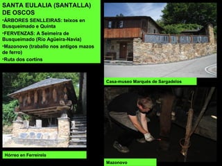 Hórreo en Ferreirela
SANTA EULALIA (SANTALLA)
DE OSCOS
•ÁRBORES SENLLEIRAS: teixos en
Busqueimado e Quinta
•FERVENZAS: A Seimeira de
Busqueimado (Río Agüeira-Navia)
•Mazonovo (traballo nos antigos mazos
de ferro)
•Ruta dos cortíns
Mazonovo
Casa-museo Marqués de Sargadelos
 
