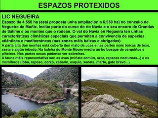 ESPAZOS PROTEXIDOS
LIC NEGUEIRA
Espazo de 4.558 ha (está proposta unha ampliación a 6.550 ha) no concello de
Negueira de Muñiz. Inclúe parte do curso do río Navia e o seu encoro de Grandas
de Salime e os montes que o rodean. O val do Navia en Negueira ten unhas
características climáticas especiais que permiten a convivencia de especies
atlánticas e mediterráneas (nas zonas máis baixas e abrigadas).
A parte alta dos montes está cuberta dun mato de uces e nas partes máis baixas de toxo,
xesta e algún érbedo. Na ladeira do Monte Mouro medra un bo bosque de cerquiños e
piñeiros. Nas partes secas pódense ver sobreiras.
A fauna máis representativa son as aves (miñato común, azor, rapaces nocturnas...) e os
mamíferos (lobo, raposo, corzo, xabarín, esquío, xeneta, marta, gato bravo...)
 