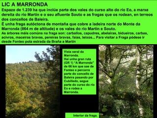 Vista xeral da
Marronda.
Hai unha gran ruta
(GR 1) “A Marronda”
de 66 km que sae de
Fonteo e percorre
parte do concello de
Baleira pasando por
Cubilledo, segue
parte do curso do río
Eo e rodea a
Marronda.
LIC A MARRONDA
Espazo de 1.239 ha que inclúe parte dos vales do curso alto do río Eo, a marxe
dereita do río Martín e o seu afluente Souto e as fragas que os rodean, en terreos
dos concellos de Baleira.
É unha fraga autóctona de montaña que cobre a ladeira norte do Monte da
Marronda (864 m de altitude) e os vales do río Martín e Souto.
As árbores máis comúns na fraga son: carballos, capudres, abelairas, bidueiros, carbas,
acivros, maceiras bravas, pereiras bravas, faias, teixos... Para visitar a Fraga pódese ir
desde Fonteo pola estrada da Braña a Martín
Interior da fraga.
 