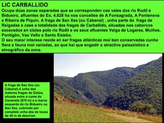 LIC CARBALLIDO
Ocupa dúas zonas separadas que se corresponden cos vales dos río Rodil e
Bidueiro, afluentes do Eo. 4.828 ha nos concellos de A Fonsagrada, A Pontenova
e Ribeira de Piquín. A fraga de San Xes (ou Cabanal) , unha parte da fraga de
Reigadas e case a totalidade das fragas de Carballido, situadas nos caborcos
excavados en xistos polo río Rodil e os seus afluentes Veiga de Logares, Muíños,
Pontigón, Vao Vello e Santo Estebo.
O seu maior interese reside en ser fragas atlánticas moi ben conservadas cunha
flora e fauna moi variadas, ao que hai que engadir o atractivo paisaxístico e
etnográfico da zona.
A fraga de San Xes (ou
Cabanal) é unha das
maiores fragas de Galiza,
situada entre o cume do
Caramelo (870 m) e a marxe
esquerda do río Bidueiro ou
San Xes, cubrindo por
completo unha aba de lousa
de 40 m de desnivel.
 