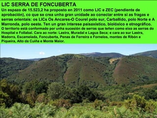 LIC SERRA DE FONCUBERTA
Un espazo de 15.523,2 ha proposto en 2011 como LIC e ZEC (pendiente de
aprobación), co que se crea unha gran unidade ao conectar entre si as fragas e
serras orientais: os LICs Os Ancares-O Courel polo sur, Carballido, polo Norte e A
Marronda, polo oeste. Ten un gran interese paisaxístico, biolóxico e etnográfico.
O territorio está conformado por unha sucesión de serras que teñen como eixo as serras do
Hospital e Follabal. Cara ao norte: Lastra, Muradal e Lagua Seca; e cara ao sur Lastra,
Madorra, Escamelada, Foncuberta, Penas de Ferreira e Fornelos, montes de Ribón e
Piqueira, Alto da Cuíña e Monte Maior.
 