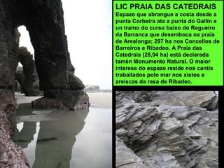 LIC PRAIA DAS CATEDRAIS
Espazo que abrangue a costa desde a
punta Corbeira ata a punta do Gallín e
un tramo do curso baixo do Regueiro
da Barranca que desemboca na praia
de Arealonga; 297 ha nos Concellos de
Barreiros e Ribadeo. A Praia das
Catedrais (28,94 ha) está declarada
tamén Monumento Natural. O maior
interese do espazo reside nos cantís
traballados polo mar nos xistos e
areiscas da rasa de Ribadeo.
 