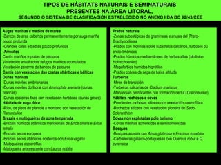 Prados naturais
-Zonas subestépicas de gramíneas e anuais del Thero-
Brachypodietea
-Prados con molinias sobre substratos calcários, turbosos ou
arxilo-limónicos
-Prados húmidos mediterráneos de herbas altas (Molinion-
Holoschoenion)
-Megaforbios húmidos higrófilos
-Prados pobres de sega de baixa altitude
Turbeiras
-Mires de transición
-Turbeiras calcárias de Cladium mariscus
-Mananciais petrificantes con formación de tuf (Cratoneurion)
Hábitats rochosos e covas
-Pendientes rochosas silíceas con vexetación casmofítica
-Rochedos silíceos con vexetación pioneira do Sedo-
Scleranthion
Covas non explotadas polo turismo
-Covas mariñas somerxidas e semisomerxidas
Bosques
-Bosques aluviais con Alnus glutinosa e Fraxinus excelsior
-Carballeiras galaico-portuguesas con Quercus robur e Q.
pyrenaica
TIPOS DE HÁBITATS NATURAIS E SEMINATURAIS
PRESENTES NA ÁREA LITORAL,
SEGUNDO O SISTEMA DE CLASIFICACIÓN ESTABLECIDO NO ANEXO I DA DC 92/43/CEE
Augas mariñas e medios de marea
-Bancos de area cubertos permanentemente por auga mariña
pouco profunda
-Grandes calas e badías pouco profundas
-Arrecifes
Cantís mariños e praias de pelouros
Vexetación anual sobre refugos mariños acumulados
Vexetación perenne de bancos de pelouros
Cantís con vexetación das costas atlánticas e bálticas
Dunas mariñas
-Dunas móviles embrionarias
-Dunas móviles do litoral con Ammophila arenaria (dunas
brancas)
-Dunas costeiras fixas con vexetación herbácea (dunas grises)
Hábitats de auga dóce
-Ríos, de pisos de planicie a montano con vexetación de
Ranunculion
Brezais e matogueiras de zona temperada
-Brezais húmidos atlánticos meridionais de Erica ciliaris e Erica
tetralix
-Brezais secos europeos
-Brezais secos atlánticos costeiros con Erica vagans
-Matogueiras esclerófilas
-Matogueira arborescente con Laurus nobilis
 