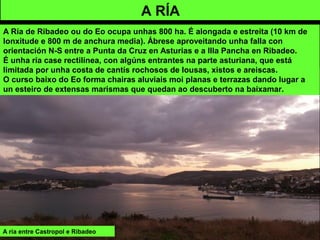 A ría entre Castropol e Ribadeo
A RÍA
A Ría de Ribadeo ou do Eo ocupa unhas 800 ha. É alongada e estreita (10 km de
lonxitude e 800 m de anchura media). Ábrese aproveitando unha falla con
orientación N-S entre a Punta da Cruz en Asturias e a Illa Pancha en Ribadeo.
É unha ría case rectilínea, con algúns entrantes na parte asturiana, que está
limitada por unha costa de cantís rochosos de lousas, xistos e areiscas.
O curso baixo do Eo forma chairas aluviais moi planas e terrazas dando lugar a
un esteiro de extensas marismas que quedan ao descuberto na baixamar.
 