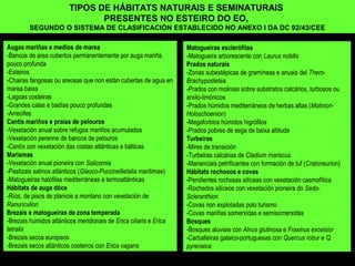 Augas mariñas e medios de marea
-Bancos de area cubertos permanentemente por auga mariña
pouco profunda
-Esteiros
-Chairas fangosas ou areosas que non están cubertas de agua en
marea baixa
-Lagoas costeiras
-Grandes calas e badías pouco profundas
-Arrecifes
Cantís mariños e praias de pelouros
-Vexetación anual sobre refugos mariños acumulados
-Vexetación perenne de bancos de pelouros
-Cantís con vexetación das costas atlánticas e bálticas
Marismas
-Vexetación anual pioneira con Salicornia
-Pastizais salinos atlánticos (Glauco-Puccinellietalia maritimae)
-Matogueiras halófilas mediterráneas e termoatlánticas
Hábitats de auga dóce
-Ríos, de pisos de planicie a montano con vexetación de
Ranunculion
Brezais e matogueiras de zona temperada
-Brezais húmidos atlánticos meridionais de Erica ciliaris e Erica
tetralix
-Brezais secos europeos
-Brezais secos atlánticos costeiros con Erica vagans
TIPOS DE HÁBITATS NATURAIS E SEMINATURAIS
PRESENTES NO ESTEIRO DO EO,
SEGUNDO O SISTEMA DE CLASIFICACIÓN ESTABLECIDO NO ANEXO I DA DC 92/43/CEE
Matogueiras esclerófilas
-Matogueira arborescente con Laurus nobilis
Prados naturais
-Zonas subestépicas de gramíneas e anuais del Thero-
Brachypodietea
-Prados con molinias sobre substratos calcários, turbosos ou
arxilo-limónicos
-Prados húmidos mediterráneos de herbas altas (Molinion-
Holoschoenion)
-Megaforbios húmidos higrófilos
-Prados pobres de sega de baixa altitude
Turbeiras
-Mires de transición
-Turbeiras calcárias de Cladium mariscus
-Mananciais petrificantes con formación de tuf (Cratoneurion)
Hábitats rochosos e covas
-Pendientes rochosas silíceas con vexetación casmofítica
-Rochedos silíceos con vexetación pioneira do Sedo-
Scleranthion
-Covas non explotadas polo turismo
-Covas mariñas somerxidas e semisomerxidas
Bosques
-Bosques aluviais con Alnus glutinosa e Fraxinus excelsior
-Carballeiras galaico-portuguesas con Quercus robur e Q.
pyrenaica
 
