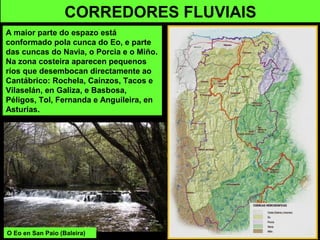 CORREDORES FLUVIAIS
A maior parte do espazo está
conformado pola cunca do Eo, e parte
das cuncas do Navia, o Porcia e o Miño.
Na zona costeira aparecen pequenos
ríos que desembocan directamente ao
Cantábrico: Rochela, Caínzos, Tacos e
Vilaselán, en Galiza, e Basbosa,
Péligos, Tol, Fernanda e Anguileira, en
Asturias.
O Eo en San Paio (Baleira)
 