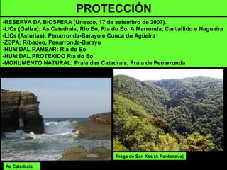 PROTECCIÓN
-RESERVA DA BIOSFERA (Unesco, 17 de setembro de 2007).
-LICs (Galiza): As Catedrais, Río Eo, Ría do Eo, A Marronda, Carballido e Negueira
-LICs (Asturias): Penarronda-Barayo e Cunca do Agüeira
-ZEPA: Ribadeo, Penarronda-Barayo
-HUMIDAL RAMSAR: Ría do Eo
-HUMIDAL PROTEXIDO Ría do Eo
-MONUMENTO NATURAL: Praia das Catedrais, Praia de Penarronda
Fraga de San Xes (A Pontenova)
As Catedrais
 