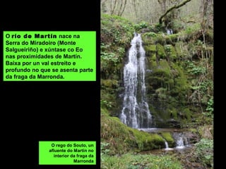 O río de Martín nace na
Serra do Miradoiro (Monte
Salgueiriño) e xúntase co Eo
nas proximidades de Martín.
Baixa por un val estreito e
profundo no que se asenta parte
da fraga da Marronda.
O rego do Souto, un
afluente do Martín no
interior da fraga da
Marronda
 