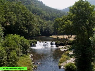 O Eo en Ribeira de Piquín
 