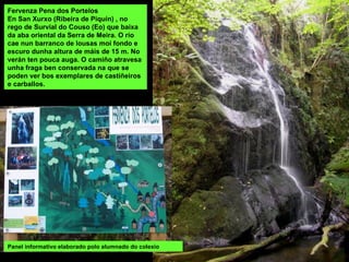 Fervenza Pena dos Portelos
En San Xurxo (Ribeira de Piquín) , no
rego de Survial do Couso (Eo) que baixa
da aba oriental da Serra de Meira. O río
cae nun barranco de lousas moi fondo e
escuro dunha altura de máis de 15 m. No
verán ten pouca auga. O camiño atravesa
unha fraga ben conservada na que se
poden ver bos exemplares de castiñeiros
e carballos.
Panel informativo elaborado polo alumnado do colexio
 
