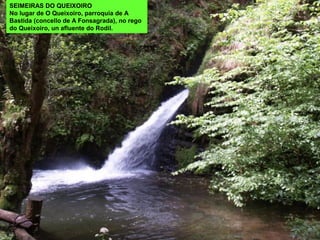 SEIMEIRAS DO QUEIXOIRO
No lugar de O Queixoiro, parroquia de A
Bastida (concello de A Fonsagrada), no rego
do Queixoiro, un afluente do Rodil.
 