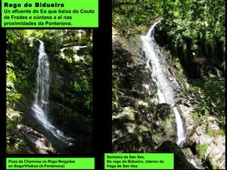 Seimeira de San Xes.
No rego do Bidueiro, interior da
fraga de San Xes.
Rego do Bidueiro
Un afluente do Eo que baixa do Couto
de Frades e xúntase a el nas
proximidades da Pontenova.
Pozo da Chamosa no Rego Reigadas
en Bogo/Vilaboa (A Pontenova)
 