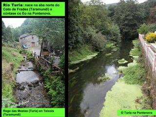Río Turia: nace na aba norte do
Coto de Frades (Taramundi) e
xúntase co Eo na Pontenova.
Rego das Mestas (Turia) en Teixois
(Taramundi)
O Turia na Pontenova
 