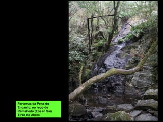 Fervenza da Pena do
Encanto, no rego de
Ramalledo (Eo) en San
Tirso de Abres
 
