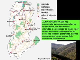 ZONA NÚCLEO (16.000 ha):
comprende as áreas que acollen os
ecosistemas naturais menos
alterados e os espazos de maior valor
ecolóxico que se corresponden en
xeral cos espazos protexidos e zonas
próximas, así como a superficie
marítima e fluviomariña.
Fraga da Marronda
 