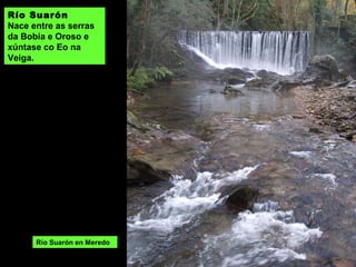 Nace no alto da Garganta (entre a
serra de Ouroso e Bobia) e
xúntase co Eo na Veiga.
Río Suarón en Meredo.
Río Suarón en Meredo
Río Suarón
Nace entre as serras
da Bobia e Oroso e
xúntase co Eo na
Veiga.
 