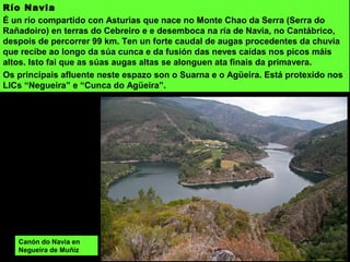 Río Navia
É un río compartido con Asturias que nace no Monte Chao da Serra (Serra do
Rañadoiro) en terras do Cebreiro e e desemboca na ría de Navia, no Cantábrico,
despois de percorrer 99 km. Ten un forte caudal de augas procedentes da chuvia
que recibe ao longo da súa cunca e da fusión das neves caídas nos picos máis
altos. Isto fai que as súas augas altas se alonguen ata finais da primavera.
Os principais afluente neste espazo son o Suarna e o Agüeira. Está protexido nos
LICs “Negueira” e “Cunca do Agüeira”.
Canón do Navia en
Negueira de Muñiz
 