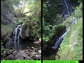 Seimeira de Morlongo no rego de Villanueva Seimeira de Busqueimado no río Agüeira.
 