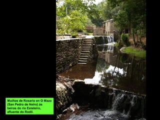 Muíños de Rosario en O Mazo
(San Pedro de Neiro) ás
beiras do río Esteleiro,
afluente do Rodil.
 