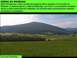 SERRA DO MONDIGO
Está formada por varios montes de pequena altura situados no concello de
Ribadeo. A máxima altura é o Alto do Mondigo, con 570 m, un excelente miradoiro
sobre a costa desde Burela a Ribadeo. Os montes están practicamente cubertos
de piñeiros e eucaliptos.
Cara oeste do Mondigo.
 