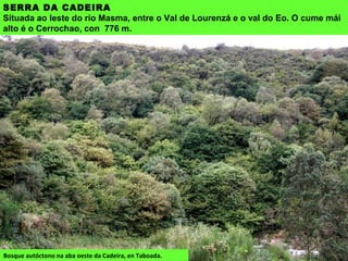 SERRA DA CADEIRA
Situada ao leste do río Masma, entre o Val de Lourenzá e o val do Eo. O cume mái
alto é o Cerrochao, con 776 m.
Bosque autóctono na aba oeste da Cadeira, en Taboada.
 
