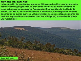MONTES DE SAN XES
Unha sucesión de montes que forman as últimas estribacións cara ao norte das
serras orientais galegas e fan de linde entre a comarca da Mariña Oriental, as
terras asturianas e a comarca da Fonsagrada. O cume máis alto é o Couto de
Frades, con 916 m, na confluencia entre A Pontenova, A Fonsagrada e Asturias.
Son montes de cumes suaves e vales profundos nos que se atopan algunhas das
mellores fragas atlánticas de Galiza (San Xes e Reigadas) protexidas dentro do
LIC “Carballido”.
Couto de Frades.
 