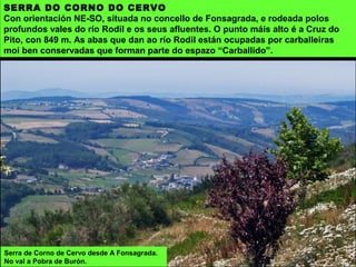 SERRA DO CORNO DO CERVO
Con orientación NE-SO, situada no concello de Fonsagrada, e rodeada polos
profundos vales do río Rodil e os seus afluentes. O punto máis alto é a Cruz do
Pito, con 849 m. As abas que dan ao río Rodil están ocupadas por carballeiras
moi ben conservadas que forman parte do espazo “Carballido”.
Serra de Corno de Cervo desde A Fonsagrada.
No val a Pobra de Burón.
 