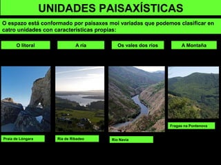 Río Navia
UNIDADES PAISAXÍSTICAS
O espazo está conformado por paisaxes moi variadas que podemos clasificar en
catro unidades con características propias:
O litoral A ría Os vales dos ríos A Montaña
Fragas na Pontenova
Praia de Lóngara Ría de Ribadeo
 