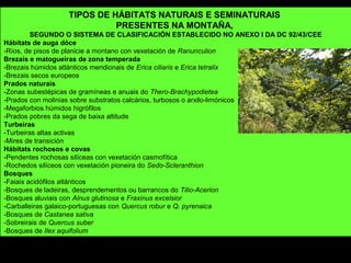 TIPOS DE HÁBITATS NATURAIS E SEMINATURAIS
PRESENTES NA MONTAÑA,
SEGUNDO O SISTEMA DE CLASIFICACIÓN ESTABLECIDO NO ANEXO I DA DC 92/43/CEE
Hábitats de auga dóce
-Ríos, de pisos de planicie a montano con vexetación de Ranunculion
Brezais e matogueiras de zona temperada
-Brezais húmidos atlánticos meridionais de Erica ciliaris e Erica tetralix
-Brezais secos europeos
Prados naturais
-Zonas subestépicas de gramíneas e anuais do Thero-Brachypodietea
-Prados con molinias sobre substratos calcários, turbosos o arxilo-limónicos
-Megaforbios húmidos higrófilos
-Prados pobres da sega de baixa altitude
Turbeiras
-Turbeiras altas activas
-Mires de transición
Hábitats rochosos e covas
-Pendentes rochosas silíceas con vexetación casmofítica
-Rochedos silíceos con vexetación pioneira do Sedo-Scleranthion
Bosques
-Faiais acidófilos atlánticos
-Bosques de ladeiras, desprendementos ou barrancos do Tilio-Acerion
-Bosques aluviais con Alnus glutinosa e Fraxinus excelsior
-Carballeiras galaico-portuguesas con Quercus robur e Q. pyrenaica
-Bosques de Castanea sativa
-Sobreirais de Quercus suber
-Bosques de Ilex aquifolium
 