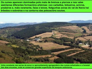 Unha constante nas serras da zona é o aproveitamento agrogandeiro dos cumes achairados e o forestal
das abas encostas, onde se conservan grandes superficies de bosques autóctonos.
Os cumes aparecen dominados polo mato de breixos e piornos e nos vales
aséntanse diferentes formacións arbóreas: con carballos, bidueiros, acivros,
pradairos e, máis raramente, faias e teixos. Nalgunhas zonas do val do Navia hai
érbedos e sobreiras e na contorna das poboacións soutos.
 