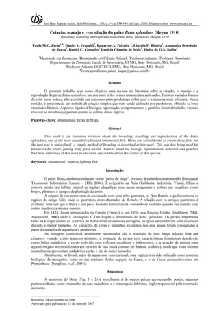 Rev Bras Reprod Anim, Belo Horizonte, v.30, n.3/4, p.134-149, jul./dez. 2006. Disponível em www.cbra.org.br
_________________________________________
Recebido: 04 de outubro de 2006
Aprovado para publicação: 11 de maio de 2007
Criação, manejo e reprodução do peixe Betta splendens (Regan 1910)
Breeding, handling and reproduction of the Betta splendens -Regan 1910
Paulo M.C. Faria1, 6
, Daniel V. Crepaldi2
, Edgar de A. Teixeira 2
, Lincoln P. Ribeiro3
, Alexandre Benvindo
de Souza4
, Daniel C. Carvalho2
, Daniela Chemim de Melo2
, Eloísa de O.S. Saliba5
1
Mestrando em Zootecnia, 2
Doutorando em Ciência Animal, 3
Professor Adjunto, 5
Professor Associado.
Departamento de Zootecnia Escola de Veterinária, UFMG, Belo Horizonte, MG, Brasil.
4
Professor Adjunto COLTEC-UFMG, Belo Horizonte, MG, Brasil.
6
Correspondência: paulo_laqua@yahoo.com.br
Resumo
O presente trabalho teve como objetivo uma revisão de literatura sobre a criação, o manejo e a
reprodução do peixe Betta splendens, um dos mais belos peixes ornamentais cultivados. Existem variadas formas
de criar esses peixes, não existindo um consenso entre produtores sobre qual é a maneira mais eficiente. Nessa
revisão, é apresentado um método de criação simples que vem sendo utilizado por produtores, obtendo-se bons
resultados há anos. Aspectos ligados à biologia, reprodução, comportamento e genética foram abordados visando
elucidar as dúvidas que pairam quanto ao cultivo dessa espécie.
Palavras-chave: ornamentais; peixe de briga.
Abstract
This work is an literature revision about the breeding, handling and reproduction of the Betta
splendens, one of the most beautiful cultivated ornamental fish. There are varied forms to create these fish, but
the best way is not defined. A simple method of breeding is described at this work. This way has being used for
producers for years, getting itself good results. Aspects about the biology, reproduction, behavior and genetics
had been explained at this work to elucidate any doubts about the cultive of this species.
Keywords: ornamental; siamese fighting fish.
Introdução
O peixe Betta, também conhecido como "peixe de briga", pertence à subordem anabantoidei (Integrated
Taxonomic Information System – ITIS, 2006). É originário da Ásia (Tailândia, Indonésia, Vietnã, China e
outros), sendo seu habitat natural as regiões alagadiças com águas estagnadas e pobres em oxigênio, como
brejos, pântanos e campos de plantação de arroz.
A origem do seu nome vem da associação com uma tribo guerreira, os Ikan Bettah, a qual dominava as
regiões do antigo Sião, onde os guerreiros eram chamados de Bettahs. A relação com os antigos guerreiros é
evidente, uma vez que o Betta é um peixe bastante territorialista, tornando-se violento quando em contato com
outros machos da mesma espécie.
Em 1874, foram introduzidos na Europa (França) e, em 1910, nos Estados Unidos (Goldstein, 2004;
Aquaworld, 2006) onde o ictiologista C.Tate Regan o denominou de Betta splendens. Os peixes importados
tanto na Europa quanto na América do Norte eram de espécies selvagens, os quais apresentavam uma coloração
discreta e menor tamanho. As variações de cores e tamanhos existentes nos dias atuais foram conseguidas a
partir do trabalho de aquaristas e produtores.
As linhagens comerciais atualmente encontradas são o resultado de uma longa seleção feita por
criadores visando a dois aspectos distintos: a produção de peixes com características fenotípicas desejáveis,
como belas nadadeiras e corpo colorido com reflexos metálicos e iridescentes, e a criação de peixes mais
agressivos para serem utilizados em torneios de luta (mais comuns no Sudeste Asiático), sendo que esses últimos
normalmente apresentam nadadeiras curtas e são de maior tamanho.
Atualmente, no Brasil, além do aquarismo convencional, essa espécie tem sido utilizada como controle
biológico de mosquitos, como os das espécies Aedes aegypti, no Ceará, e o da Culex quinquefasciatus em
Pernambuco (Pamplona et al., 2004).
Anatomia
A anatomia do Betta (Fig. 1 e 2) é semelhante à de outros peixes apresentando, porém, algumas
particularidades, como o tamanho de suas nadadeiras e a presença do labirinto, órgão responsável pela respiração
acessória.
 