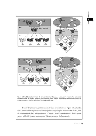 C E D E R J 105
AULAMÓDULO16
Figura 6.4: Padrão de transmissão da característica mancha escura nas asas em cruzamentos recíprocos
entre mariposas do gênero Abraxas. a) cruzamento entre machos grossulariata e fêmeas lacticolor. b)
cruzamento entre machos lacticolor e fêmeasr grossulariata.
Procure determinar o genótipo dos indivíduos apresentados na Figura 6.4, sabendo
que a fêmea desta mariposa é o sexo heterogamético e que o gene para manchas na asa, está
no cromossomo Z. Para isso, substitua o "-" sobre a letra Z, nos esquemas à direita, pelos
fatores (alelos) G ou g correspondentes. Veja a resposta no ﬁnal dessa aula.
b
a
 