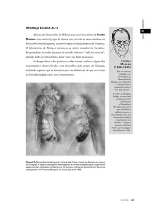 C E D E R J 107
AULAMÓDULO16
HERANÇA LIGADA AO X
Abaixo do laboratório de Wilson, estava o laboratório de THOMAS
MORGAN e um notável grupo de alunos que, através de seus estudos com
Drosophila melanogaster, desenvolveram os fundamentos da Genética.
O laboratório de Morgan tornou-se o centro mundial da Genética.
Pesquisadores de todas as partes do mundo vinham à “sala das moscas”,
apelido dado ao laboratório, para visitar ou fazer pesquisas.
Ao longo desta e das próximas aulas vamos conhecer alguns dos
experimentos desenvolvidos com drosóﬁlas pelo grupo de Morgan,
incluindo aqueles que se tornaram provas deﬁnitivas de que os fatores
da hereditariedade estão nos cromossomos.
THOMAS
MORGAN
(1866-1945)
Por seu intenso
trabalho com
Drosophila, o
laboratório de
Morgan na Columbia
University ﬁcou
conhecido como a
“sala das moscas”.
Em 1915, Morgan,
Bridges e Sturtevant
publicaram The
Mechanism
of Mendelian
Heredity, uma obra
que estabeleceu
deﬁnitivamente a
Drosophila como um
importante modelo
experimental em
Genética. Morgan
ganhou o Prêmio
Nobel de Fisiologia e
Medicina em 1933.
Figura 6.5: Drosophila melanogaster (mosca-das-frutas, mosca-da-banana ou mosca-r
do-vinagre). A espécie Drosophila melanogaster é um dos mais populares organismosr
experimentais utilizados em Genética. Os estudos utilizando drosóﬁla em Genética
começaram com Thomas Morgan no início dos anos 1900.
 