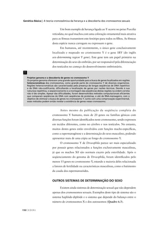 Genética Básica | A teoria cromossômica da herança e a descoberta dos cromossomos sexuais
C E D E R J110
Projetos genoma e a descoberta de genes no cromossomo Y
Os projetos genoma oferecem uma grande oportunidade para a busca de genes localizados em regiões
heterocromáticas dos cromossomos, como grande parte do cromossomo Y de diversos organismos.
Regiões heterocromáticas são caracterizadas pela presença de longas seqüências de DNA repetitivo
e de DNA não-codiﬁcante, diﬁcultando a localização de genes por razões técnicas. Devido à sua
natureza repetitiva, o seqüenciamento e a montagem das seqüências destas regiões na ordem correta
não é tão simples. Apesar das diﬁculdades, foram desenvolvidos métodos computacionais eﬁcientes
que comparam seqüências do DNA com seqüências de proteínas, e até de RNA-mensageiro, com o
objetivo de otimizar a busca de genes no cromossomo Y. Junto com uma comprovação experimental,
esses métodos podem então revelar a existência de genes nesse cromossomo.
!
Antes mesmo da publicação da seqüência completa do
cromossomo Y humano, mais de 20 genes ou famílias gênicas com
diversas funções foram identiﬁcados neste cromossomo, sendo expressos
em tecidos diferentes, como no cérebro e nos testículos. No entanto,
muitos destes genes estão envolvidos com funções macho-especíﬁcas,
como a espermatogênese e a determinação do sexo masculino, podendo
apresentar mais de uma cópia ao longo do cromossomo Y.
O cromossomo Y de Drosophila parece ser mais especializado
por possuir genes relacionados a funções exclusivamente masculinas,
já que os machos X0 são normais exceto pela esterilidade. Após o
seqüenciamento do genoma de Drosophila, foram identiﬁcados pelo
menos 15 genes no cromossomo Y, estando a maioria deles relacionada
a fatores de fertilidade ou características masculinas, como o batimento
da cauda dos espermatozóides.
OUTROS SISTEMAS DE DETERMINAÇÃO DO SEXO
Existem ainda sistemas de determinação sexual que não dependem
apenas dos cromossomos sexuais. Exemplos deste tipo de sistema são o
sistema haplóide-diplóide e o sistema que depende do balanço entre o
número de cromossomos X e dos autossomos (Quadro 6.3).
Um bom exemplo de herança ligada ao Y ocorre no peixe Poecilia
reticulata, no qual machos com uma coloração ornamental mais atrativa
para as fêmeas transmitem este fenótipo para todos os ﬁlhos. As fêmeas
desta espécie nunca carregam ou expressam o gene.
Em humanos, até recentemente, o único gene conclusivamente
localizado e mapeado no cromossomo Y é o gene SRY (do inglêsY
sex-determining region Y gene). Este gene tem um papel primário na
determinação do sexo do embrião, por ser responsável pela diferenciação
dos testículos no começo do desenvolvimento embrionário.
 