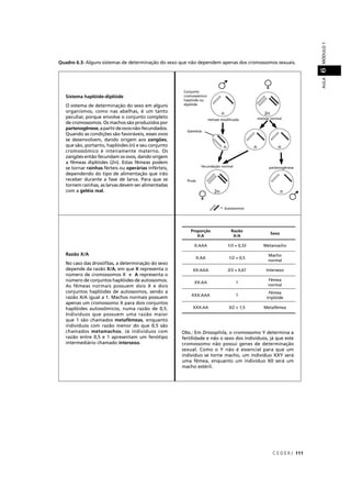 C E D E R J 111
AULAMÓDULO16
Quadro 6.3: Alguns sistemas de determinação do sexo que não dependem apenas dos cromossomos sexuais.
Sistema haplóide-diplóide
O sistema de determinação do sexo em alguns
organismos, como nas abelhas, é um tanto
peculiar, porque envolve o conjunto completo
de cromossomos. Os machos são produzidos por
partenogênese,apartirdeovosnão-fecundados.
Quando as condições são favoráveis, esses ovos
se desenvolvem, dando origem aos zangões,
que são, portanto, haplóides (n) e seu conjunto
cromossômico é inteiramente materno. Os
zangões então fecundam os ovos, dando origem
a fêmeas diplóides (2n). Estas fêmeas podem
se tornar rainhas férteis ou operárias inférteis,
dependendo do tipo de alimentação que irão
receber durante a fase de larva. Para que se
tornem rainhas, as larvas devem ser alimentadas
com a geléia real.
Razão X/A
No caso das drosóﬁlas, a determinação do sexo
depende da razão X/A, em que X representa o
número de cromossomos X e A representa o
número de conjuntos haplóides de autossomos.
As fêmeas normais possuem dois X e dois
conjuntos haplóides de autossomos, sendo a
razão X/A igual a 1. Machos normais possuem
apenas um cromossomo X para dois conjuntos
haplóides autossômicos, numa razão de 0,5.
Indivíduos que possuem uma razão maior
que 1 são chamados metafêmeas, enquanto
indivíduos com razão menor do que 0,5 são
chamados metamachos. Já indivíduos com
razão entre 0,5 e 1 apresentam um fenótipo
intermediário chamado intersexo.
Obs.: Em Drosophila, o cromossomo Y determina a
fertilidade e não o sexo dos indivíduos, já que este
cromossomo não possui genes de determinação
sexual. Como o Y não é essencial para que um
indivíduo se torne macho, um indivíduo XXY será
uma fêmea, enquanto um indivíduo X0 será um
macho estéril.
Proporção
X:A
Razão
X/A
Sexo
X:AAA 1/3 = 0,33 Metamacho
X:AA 1/2 = 0,5
Macho
normal
XX:AAA 2/3 = 0,67 Intersexo
XX:AA 1
Fêmea
normal
XXX:AAA 1
Fêmea
triplóide
XXX:AA 3/2 = 1,5 Metafêmea
Gamet
Conjunto
cromossô
haplóide
diplóide
Prole
 