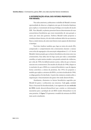 Genética Básica | Cromossomos, genes, DNA: uma visão atual dos fatores mendelianos
CEDERJ118
A INTERPRETAÇÃO ATUAL DOS FATORES PROPOSTOS
POR MENDEL
Nas aulas anteriores, conhecemos o trabalho de Mendel e tivemos
oportunidade de observar a elegância com que ele formulou hipóteses
para explicar a transmissão da herança biológica em meados do século
XIX. Para Mendel, as plantas possuíam fatores determinantes de suas
características hereditárias que eram transmitidos de uma geração a
outra por meio dos gametas. Embora Mendel tenha proposto a
existência desses fatores, ele não tinha nenhuma idéia da sua natureza
física e, muito menos, de como esses fatores eram capazes de determinar
o fenótipo.
Você deve lembrar também que, logo no início do século XX,
comparando o comportamento dos cromossomos durante a meiose
com as leis da segregação e da associação independente (1a
. e 2a
. leis de
Mendel), Sutton propôs que os fatores hereditários deveriam estar nos
cromossomos. Essa idéia não foi logo aceita por toda a comunidade
cientíﬁca, só após muitos estudos e um grande acúmulo de evidências,
por volta de 1920, foi deﬁnitivamente aceita a idéia de que os fatores
estavam nos cromossomos. Em meados da década de 1940, chegou-se
à conclusão de que o DNA era o material hereditário e que de alguma
forma controlava a síntese de proteínas. Em 1953, foi proposto o
modelo que explica a estrutura do DNA e, no início da década de 1960,
o código genético foi decifrado. A partir daí, inúmeros estudos sobre a
organização e funcionamento dos genes vêm sendo desenvolvidos.
Atualmente, chamamos os fatores hereditários sugeridos por
Mendel de genes e conhecemos sua natureza. Cada gene, unidade
física e funcional da hereditariedade, é um segmento de uma molécula
de DNA (ácido desoxirribonucléico) que contém as informações
necessárias para a produção de um RNA (ácido ribonucléico) ou de
uma proteína. A Figura 7.1 apresenta o modelo da estrutura do DNA
mais aceito atualmente.
 
