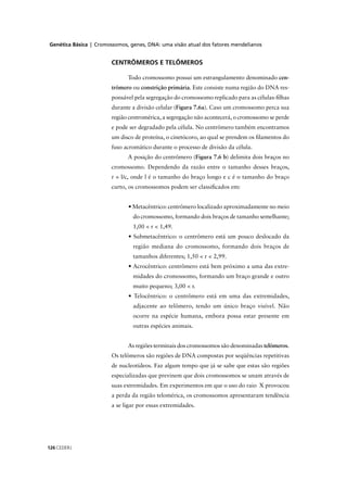Genética Básica | Cromossomos, genes, DNA: uma visão atual dos fatores mendelianos
CEDERJ126
CENTRÔMEROS E TELÔMEROS
Todo cromossomo possui um estrangulamento denominado cen-
trômero ou constrição primária. Este consiste numa região do DNA res-
ponsável pela segregação do cromossomo replicado para as células-ﬁlhas
durante a divisão celular (Figura 7.6a). Caso um cromossomo perca sua
região centromérica, a segregação não acontecerá, o cromossomo se perde
e pode ser degradado pela célula. No centrômero também encontramos
um disco de proteína, o cinetócoro, ao qual se prendem os ﬁlamentos do
fuso acromático durante o processo de divisão da célula.
A posição do centrômero (Figura 7.6 b) delimita dois braços no
cromossomo. Dependendo da razão entre o tamanho desses braços,
r = l/c, onde l é o tamanho do braço longo e c é o tamanho do braço
curto, os cromossomos podem ser classiﬁcados em:
• Metacêntrico: centrômero localizado aproximadamente no meio
do cromossomo, formando dois braços de tamanho semelhante;
1,00 < r < 1,49.
• Submetacêntrico: o centrômero está um pouco deslocado da
região mediana do cromossomo, formando dois braços de
tamanhos diferentes; 1,50 < r < 2,99.
• Acrocêntrico: centrômero está bem próximo a uma das extre-
midades do cromossomo, formando um braço grande e outro
muito pequeno; 3,00 < r.
• Telocêntrico: o centrômero está em uma das extremidades,
adjacente ao telômero, tendo um único braço visível. Não
ocorre na espécie humana, embora possa estar presente em
outras espécies animais.
As regiões terminais dos cromossomos são denominadas telômeros.
Os telômeros são regiões de DNA compostas por seqüências repetitivas
de nucleotídeos. Faz algum tempo que já se sabe que estas são regiões
especializadas que previnem que dois cromossomos se unam através de
suas extremidades. Em experimentos em que o uso do raio X provocou
a perda da região telomérica, os cromossomos apresentaram tendência
a se ligar por essas extremidades.
 