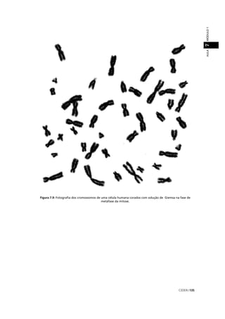 CEDERJ 135
AULAMÓDULO17
Figura 7.9: Fotograﬁa dos cromossomos de uma célula humana corados com solução de Giemsa na fase de
metáfase da mitose.
 