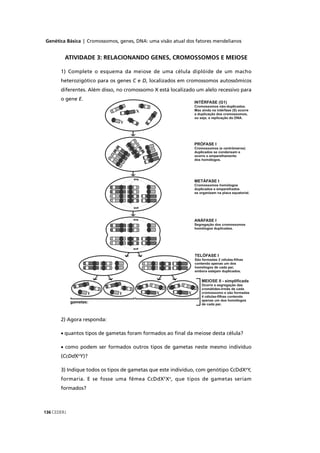 Genética Básica | Cromossomos, genes, DNA: uma visão atual dos fatores mendelianos
CEDERJ136
ATIVIDADE 3: RELACIONANDO GENES, CROMOSSOMOS E MEIOSE
1) Complete o esquema da meiose de uma célula diplóide de um macho
heterozigótico para os genes C eC D, localizados em cromossomos autossômicos
diferentes. Além disso, no cromossomo X está localizado um alelo recessivo para
o gene E.
2) Agora responda:
• quantos tipos de gametas foram formados ao ﬁnal da meiose desta célula?
• como podem ser formados outros tipos de gametas neste mesmo indivíduo
(CcDdXdd e
Y)?
3) Indique todos os tipos de gametas que este indivíduo, com genótipo CcDdXe
Y,
formaria. E se fosse uma fêmea CcDdXE
Xe
, que tipos de gametas seriam
formados?
 