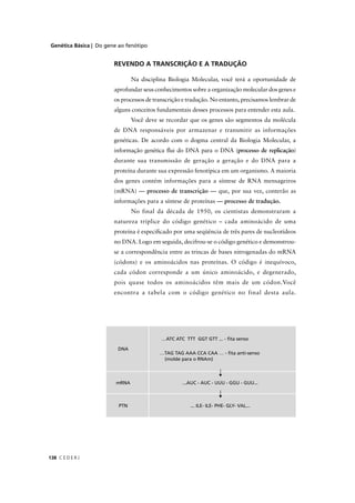 Genética Básica | Do gene ao fenótipo
C E D E R J138
REVENDO A TRANSCRIÇÃO E A TRADUÇÃO
Na disciplina Biologia Molecular, você terá a oportunidade de
aprofundar seus conhecimentos sobre a organização molecular dos genes e
os processos de transcrição e tradução. No entanto, precisamos lembrar de
alguns conceitos fundamentais desses processos para entender esta aula.
Você deve se recordar que os genes são segmentos da molécula
de DNA responsáveis por armazenar e transmitir as informações
genéticas. De acordo com o dogma central da Biologia Molecular, a
informação genética ﬂui do DNA para o DNA (processo de replicação)
durante sua transmissão de geração a geração e do DNA para a
proteína durante sua expressão fenotípica em um organismo. A maioria
dos genes contém informações para a síntese de RNA mensageiros
(mRNA) — processo de transcrição — que, por sua vez, conterão as
informações para a síntese de proteínas — processo de tradução.
No final da década de 1950, os cientistas demonstraram a
natureza tríplice do código genético – cada aminoácido de uma
proteína é especiﬁcado por uma seqüência de três pares de nucleotídeos
no DNA. Logo em seguida, decifrou-se o código genético e demonstrou-
se a correspondência entre as trincas de bases nitrogenadas do mRNA
(códons) e os aminoácidos nas proteínas. O código é inequívoco,
cada códon corresponde a um único aminoácido, e degenerado,
pois quase todos os aminoácidos têm mais de um códon.Você
encontra a tabela com o código genético no final desta aula.
DNA
…ATC ATC TTT GGT GTT ... - ﬁta senso
…TAG TAG AAA CCA CAA … - ﬁta anti-senso
(molde para o RNAm)
mRNA ...AUC - AUC - UUU - GGU - GUU...
PTN ... ILE- ILE- PHE- GLY- VAL...
 