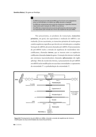Genética Básica | Do gene ao fenótipo
C E D E R J140
OstRNAsãopequenasmoléculasdeRNAquefuncionamcomoadaptadores
entre os aminoácidos e os códons do mRNA durante a tradução.
Os rRNA são componentes estruturais dos ribossomos, organelas celulares
responsáveis pela tradução do mRNA em proteínas.
Os snRNA são componentes estruturais dos spliceossomos, estruturas nuclea-
res responsáveis pela retirada dos íntrons das seqüências dos pré-mRNA.
!
Nos procariontes, os produtos da transcrição, transcritos
primários, em geral, são equivalentes à molécula de mRNA a ser
traduzida. Já nos eucariontes, os transcritos primários de muitos genes
contêm seqüências especíﬁcas que deverão ser retiradas para a completa
formação do mRNA, daí serem chamados pré-mRNA. O processamento
do pré-mRNA inclui a retirada de seqüências de nucleotídeos não-
codiﬁcantes, chamadas íntrons, que se inserem entre as seqüências
codiﬁcantes chamadas éxons dos genes. A remoção dos íntrons é realizada
por estruturas macromoleculares chamadas spliceossomos (do inglês
splicing). Além da excisão dos íntrons, o processamento do pré-mRNA
em mRNA inclui modiﬁcações em suas duas extremidades: o capeamento
da extremidade 5’ e a poliadenilação da extremidade 3’.
Figura 8.2: Processamento do pré-mRNA em mRNA, incluindo a excisão de seqüências de íntrons e
modiﬁcações nas duas extremidades dos transcritos primários.
 