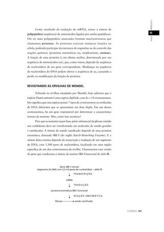 C E D E R J 141
AULAMÓDULO18
Como resultado da tradução do mRNA, temos a síntese de
polipeptídeos (seqüências de aminoácidos ligados por uniões peptídicas).
Um ou mais polipeptídeos associados formam macroestruturas que
chamamos proteínas. As proteínas exercem inúmeras funções na
célula, podendo participar da estrutura de organelas ou do controle das
reações químicas (proteínas enzimáticas ou, simplesmente, enzimas).
A função de uma proteína é, em última análise, determinada por sua
seqüência de aminoácidos (aa), que, como vimos, depende da seqüência
de nucleotídeos de seu gene correspondente. Mudanças na seqüência
de nucleotídeos do DNA podem alterar a seqüência de aa, causando a
perda ou modiﬁcação da função da proteína.
REVISITANDO AS ERVILHAS DE MENDEL
Voltando às ervilhas estudadas por Mendel, hoje sabemos que a
espécie Pisum sativum é uma espécie diplóide, com 2n = 14 cromossomos.
Isto signiﬁca que esta espécie possui 7 tipos de cromossomos ou moléculas
de DNA diferentes que se apresentam em dose dupla. Em um desses
cromossomos, há um gene responsável por determinar a característica
textura da semente. Mas, como isso acontece?
Para que as sementes sejam lisas, parte substancial da glicose contida
nos cotilédones deve ser transformada em moléculas de amido grandes
e ramiﬁcadas. A síntese do amido ramiﬁcado depende de uma proteína
enzimática chamada SBE-I (do inglês Starch-Branching Enzyme). E a
síntese desta enzima depende da transcrição e tradução de um segmento
de DNA, com 3.300 pares de nucleotídeos, localizado em uma região
especíﬁca de um dos cromossomos da ervilha. Chamaremos essa versão
do gene que condiciona a síntese da enzima SBE-I funcional de alelo R.
Gene SBE-I normalI
(segmento do DNA com 3,3 mil pares de nucleotídeos – alelo R)
mRNA
proteína enzimática SBE-I funcional
Glicose --------------- amido ramiﬁcado--
T R A N S C R I Ç Ã O
T R A D U Ç Ã O
R E A Ç Ã O E M Z I M Á T I C A
 