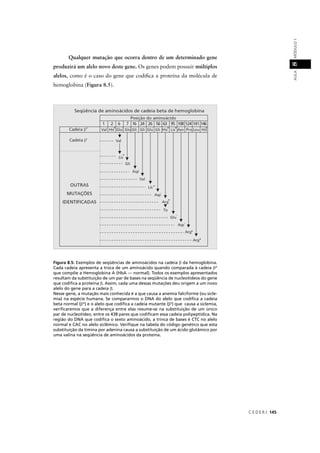 C E D E R J 145
AULAMÓDULO18
Qualquer mutação que ocorra dentro de um determinado gene
produzirá um alelo novo deste gene. Os genes podem possuir múltiplos
alelos, como é o caso do gene que codiﬁca a proteína da molécula de
hemoglobina (Figura 8.5).
Figura 8.5: Exemplos de seqüências de aminoácidos na cadeia β da hemoglobina.
Cada cadeia apresenta a troca de um aminoácido quando comparada à cadeia βA
que compõe a Hemoglobina A (HbA — normal). Todos os exemplos apresentados
resultam da substituição de um par de bases na seqüência de nucleotídeos do gene
que codiﬁca a proteína β. Assim, cada uma dessas mutações deu origem a um novo
alelo do gene para a cadeia β.
Nesse gene, a mutação mais conhecida é a que causa a anemia falciforme (ou sicle-
mia) na espécie humana. Se compararmos o DNA do alelo que codiﬁca a cadeia
beta normal (βA
) e o alelo que codiﬁca a cadeia mutante (βS
) que causa a siclemia,
veriﬁcaremos que a diferença entre elas resume-se na substituição de um único
par de nucleotídeo, entre os 438 pares que codiﬁcam essa cadeia polipeptídica. Na
região do DNA que codiﬁca o sexto aminoácido, a trinca de bases é CTC no alelo
normal e CAC no alelo siclêmico. Veriﬁque na tabela do código genético que esta
substituição da timina por adenina causa a substituição de um ácido glutâmico por
uma valina na seqüência de aminoácidos da proteína.
 