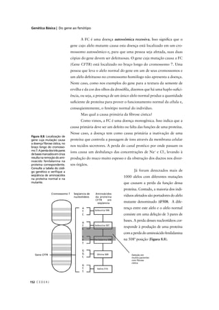 Genética Básica | Do gene ao fenótipo
C E D E R J152
Já foram detectados mais de
1000 alelos com diferentes mutações
que causam a perda da função dessa
proteína. Contudo, a maioria dos indi-
víduos afetados são portadores do alelo
mutante denominado ∆F508. A dife-
rença entre este alelo e o alelo normal
consiste em uma deleção de 3 pares de
bases. A perda desses nucleotídeos cor-
responde à produção de uma proteína
com a perda do aminoácido fenilalanina
na 508ª posição (Figura 8.8).
Figura 8.8: Localização de
gene cuja mutação causa
a doença ﬁbrose cística, no
braço longo do cromosso-
mo7.Aperdadostrêspares
debasesmarcadosemcinza
resultanaremoçãodoami-
noácido fenilalanina na
proteína correspondente.
Consulte a tabela do códi-
go genético e veriﬁque a
seqüência de aminoácidos
na proteína normal e na
mutante.
Cromosssomo 7 Seqüencia de
nucleotideos
Aminoácidos
da proteína
Gene CFTR Deleção em
muitos pacientes
com ﬁbrose
cística
A FC é uma doença autossômica recessiva. Isso signiﬁca que o
gene cujo alelo mutante causa esta doença está localizado em um cro-
mossomo autossômico e, para que uma pessoa seja afetada, suas duas
cópias do gene devem ser defeituosas. O gene cuja mutação causa a FC
(Gene CFTR) está localizado no braço longo do cromossomo 7. Uma
pessoa que leva o alelo normal do gene em um de seus cromossomos e
um alelo defeituoso no cromossomo homólogo não apresenta a doença.
Neste caso, como nos exemplos do gene para a textura da semente de
ervilha e da cor dos olhos da drosóﬁla, dizemos que há uma haplo-suﬁci-
ência, ou seja, a presença de um único alelo normal produz a quantidade
suﬁciente de proteína para prover o funcionamento normal da célula e,
conseqüentemente, o fenótipo normal do indivíduo.
Mas qual a causa primária da ﬁbrose cística?
Como vimos, a FC é uma doença monogênica. Isso indica que a
causa primária deve ser um defeito ou falta das funções de uma proteína.
Nesse caso, a doença tem como causa primária a inativação de uma
proteína que controla a passagem de íons através da membrana celular
nos tecidos secretores. A perda do canal protéico por onde passam os
íons causa um desbalanço das concentrações de Na+
e Cl-
, levando à
produção do muco muito espesso e da obstrução dos ductos nos diver-
sos órgãos.
 
