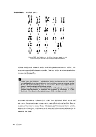 Genética Básica | Atividade prática
C E D E R J182
Agora coloque os pares de alelos dos dois genes (descritos a seguir) nos
cromossomos autossômicos em questão. Para isso, utilize as etiquetas adesivas,
representando os alelos.
O homem em questão é heterozigótico para estes dois genes (FfHh), isto é, não
apresenta ﬁbrose cística, porém apresenta hipercolesterolemia familiar. Sabe-se
que seu primo materno possui ﬁbrose cística e seu pai hipercolesterolemia familiar.
Use estas informações para distribuir os alelos nos cromossomos homólogos de
cada um dos pares.
Gene F - gene que condiciona a ﬁbrose cística, doença caracterizada por uma disfunção
pancreática e pulmonar, que normalmente leva o indivíduo à morte nas primeiras décadas
de vida. Está localizado no braço longo do cromossomo 7. O alelo recessivo (f) condiciona
a doença, e o dominante (F) dá a condição normal.
Gene H - gene que condiciona a hipercolesterolemia familiar, doença caracterizada pelos
elevados níveis de colesterol no organismo. Está localizado no cromossomo 19. O alelo
dominante (H) condiciona a doença, e o recessivo (h) dá a condição normal.
!
Figura 10.1: Montagem do cariótipo humano a partir dos
cromossomos de uma célula durante a metáfase da mitose.
 