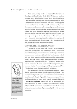 Genéica Básica | Divisão celular I – Mitose e o ciclo celular
C EDERJ22
Com certeza, você já estudou na disciplina Grandes Temas em
Biologia, os trabalhos de Robert Hooke (1635-1703), Antony van Leeu-
wenhoek (1632-1723) e Theodor Schwann (1810-1882), dentre outros,
e percebeu que eles tiveram grande inﬂuência na formulação da Teoria
Celular. Segundo uma visão simpliﬁcada desta teoria, as células podem
ser consideradas como as unidades básicas de estrutura e função, ou seja,
são as menores unidades capazes de ter vida independente. Desta forma,
são capazes de usar substâncias obtidas do meio para manter e produzir
o estado vivo. Agora, veremos que, apesar de a teoria celular ter sido for-
mulada na primeira metade do século XIX, eram necessárias outras duas
informações antes que as células pudessem ser consideradas importantes
para a transmissão das características hereditárias: (1) a descoberta de
que os espermatozóides e óvulos são células e (2) o reconhecimento de
que células só se originam de células preexistentes.
A NATUREZA CITOLÓGICA DO ESPERMATOZÓIDE
Quando, no início do século XIX, Schwann e outros propuseram
que o corpo dos organismos seria composto por células e que as células
se caracterizariam por possuir uma matriz envolvida por membrana,
contendo no seu interior um núcleo, foi fácil reconhecer que o óvulo
seria uma célula. Mas, no caso dos espermatozóides, essa associação
não era tão clara. Embora alguns pesquisadores tenham proposto a
importância dos espermatozóides para a fecundação, muitos outros
estavam convencidos de que os espermatozóides eram parasitas. Daí o
termo que signiﬁca “animais do esperma”. Imagine que, entre 1766 e
1768, Linnaeus tentou classiﬁcar os animais do esperma.
Foi Leeuwenhoek, em 1667, quem primeiro comunicou a desco-
berta de que o líquido seminal possuía criaturas microscópicas e pro-
pôs a primeira hipótese de que os espermatozóides entrariam no óvulo
causa0ndo sua fertilização (Figura 2.1). Mas, como vimos, essa hipótese
não foi considerada por muito tempo Mais de um século depois, em
1784, LAZZARO SPALLANZANI realizou uma série de experimentos para
veriﬁ car a função do sêmen na reprodução e corroborou a hipótese
de Leeuwenhoek. Ele observou que, ao ﬁ ltrar o sêmen de rãs machos,
retirando os espermatozóides ali presentes, o líquido perdia seu poder
fecundante.
LAZZARO SPALLANZANI
(1729-1799)
Biólogo italiano,
realizou importantes
pesquisas em
reprodução animal,
o que contribuiu
deﬁnitivamente para a
derrocada da teoria da
geração espontânea de
Aristóteles.
 